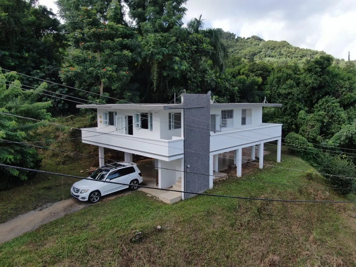 975 km 3.2 BO. SACO, Ceiba, PR 00735