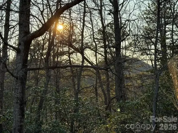 TBD Burnt Ridge TRL, Black Mountain, NC 28711