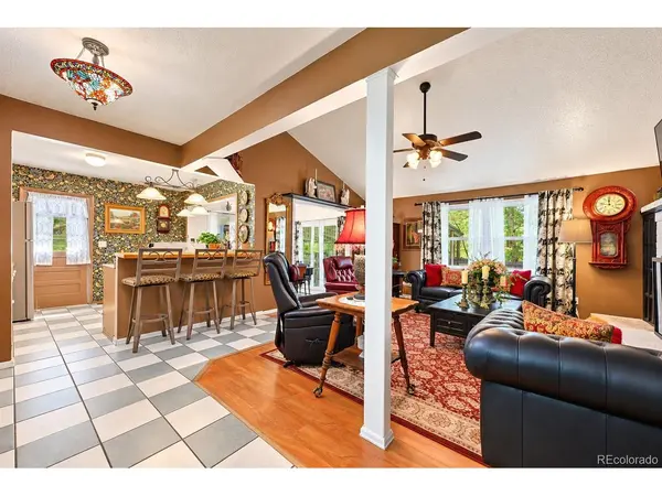 1817 Silver Eagle, Leadville, CO 80461