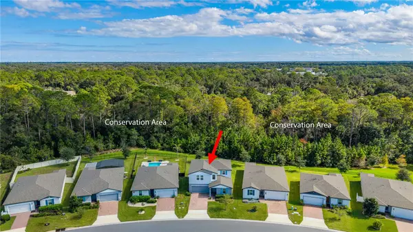 335 SARAH NICOLE WAY, New Smyrna Beach, FL 32168