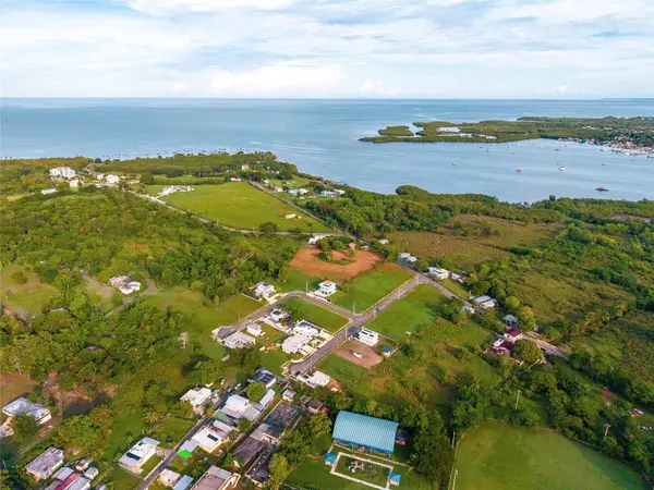 LA MELA BO. PEDERNALES, Cabo Rojo, PR 00623