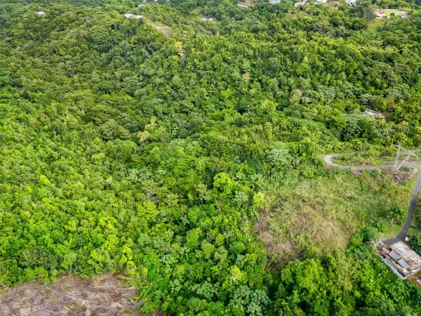 823 Km 4.5 BO. RIO, Toa Alta, PR 00953