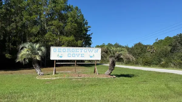 109 S GEORGETOWN POINT RD, Georgetown, FL 32139