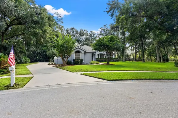 6029 HAMMOCK HILL AVE, Lithia, FL 33547