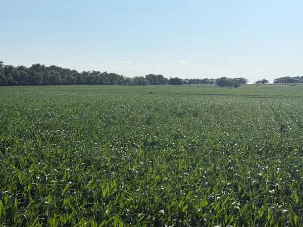 1100 BLK Trail Rd, Herington, KS 67449