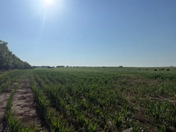 1100 BLK Trail Rd, Herington, KS 67449