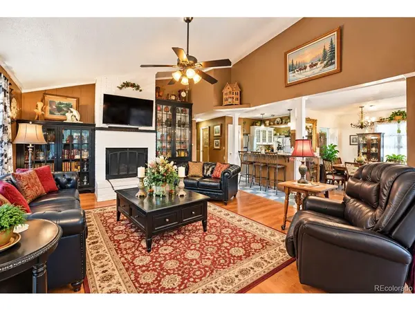 1817 Silver Eagle, Leadville, CO 80461