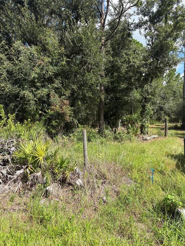 5020 WAUCHULA RD, Myakka City, FL 34251