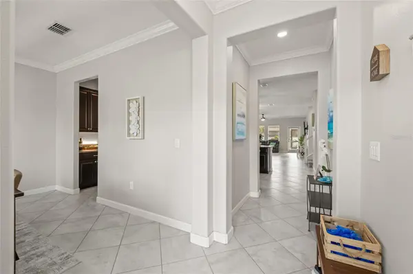 3212 CALVANO DR, Land O Lakes, FL 34639