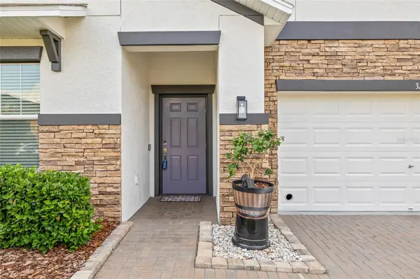 3212 CALVANO DR, Land O Lakes, FL 34639