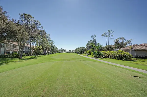 1290 CLAYS TRL #1403, Oldsmar, FL 34677