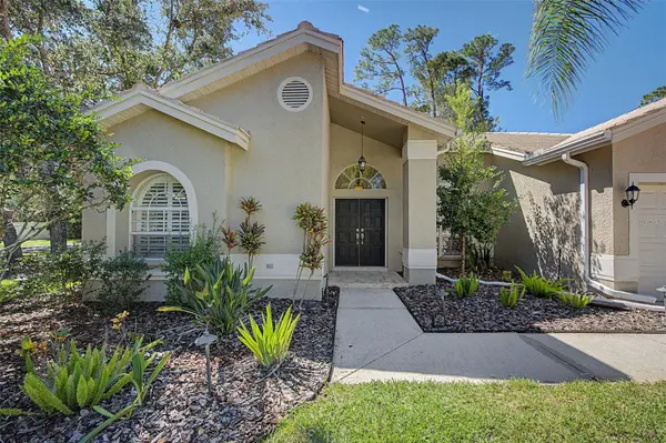1558 E LAKE WOODLANDS Pkwy, Oldsmar, FL 34677