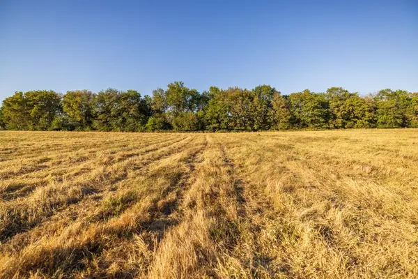 S Vanmeter RD, Freeman, MO 64746