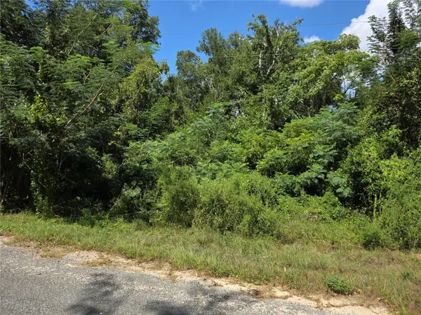 00 KEEDY RD, Lady Lake, FL 32159