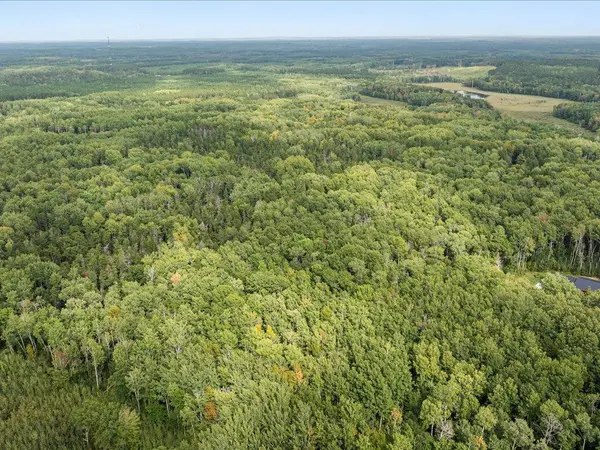 Lot H Sandbar Lane, Merrifield, MN 56465