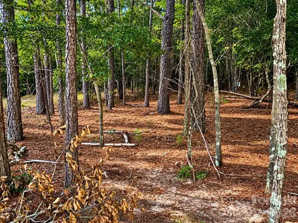 TBD/Land LOT B SW Beaker RD, Heath Springs, SC 29058