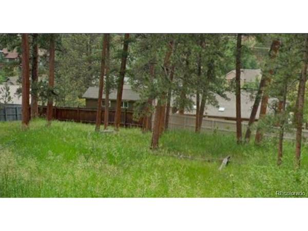Spruce, Evergreen, CO 80439