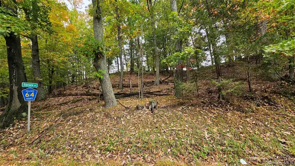 X Spruce RD, Middletown, NY 10940