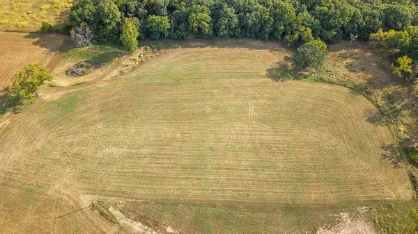 000 Tract 3b Castle Creek Lane, Rogersville, MO 65742