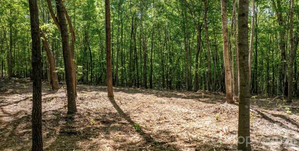 00 Stikeleather RD #lot 2, Hiddenite, NC 28678