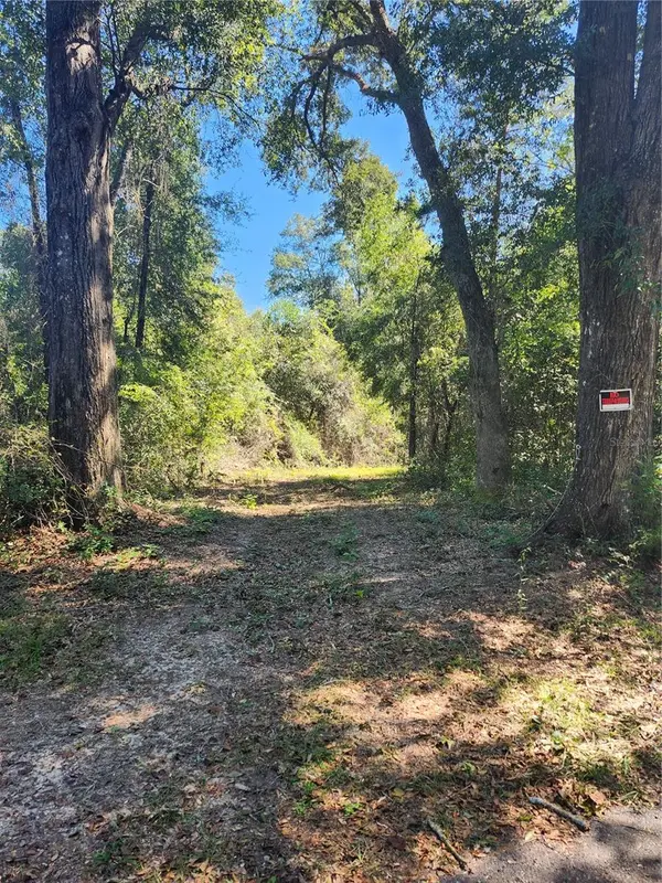 MARCUS DR, Greenwood, FL 32443