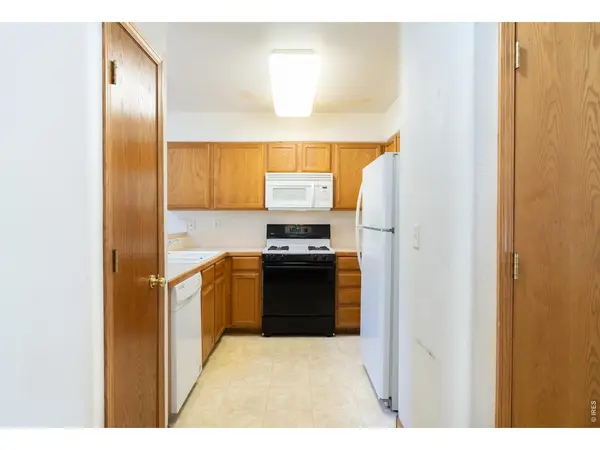 382 Audrey, Loveland, CO 80537