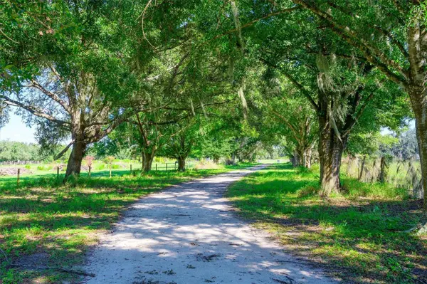 10650 BRENDLE RD, Myakka City, FL 34251