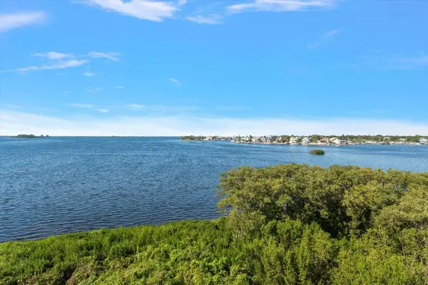 2700 BAYSHORE BLVD #11404, Dunedin, FL 34698