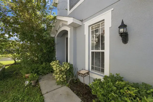 10313 WILLOW LEAF TRL, Tampa, FL 33625