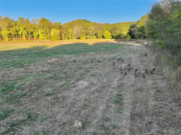 TBD T16D Bobwhite Ln, Unincorporated, MO 65452