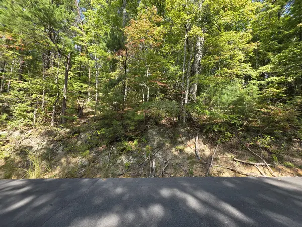 0 Hatcher Top Rd, Sevierville, TN 37862