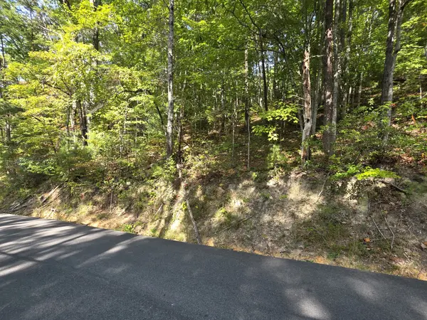 0 Hatcher Top Rd, Sevierville, TN 37862