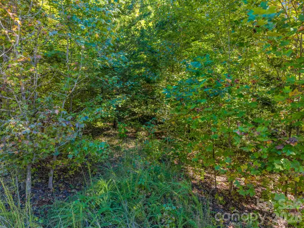 0 Owls Ridge DR #154, Bostic, NC 28018