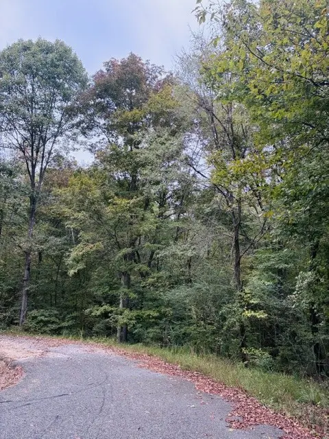 0 Greenwood St, Camden, TN 38320