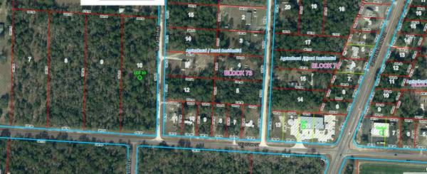 SE 30TH ST, Morriston, FL 32668