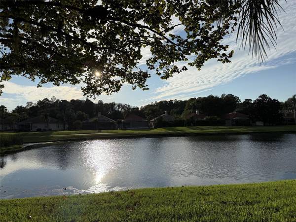 1338 DARTFORD DR, Tarpon Springs, FL 34688