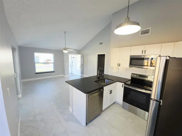 2674 RACHEL CT, Palm Harbor, FL 34684
