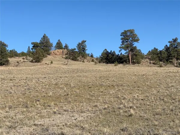 2220 Caddo, Hartsel, CO 80449