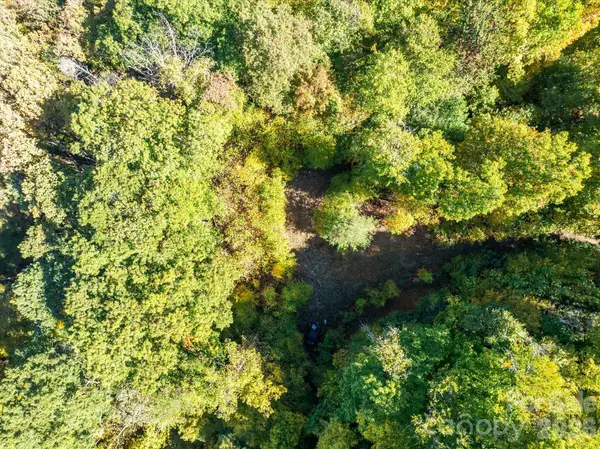 TBD Big Laurel RD, Marshall, NC 28753
