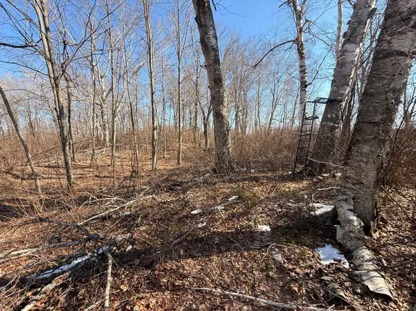 TBD Happy Tree Lane, Bruno, MN 55712