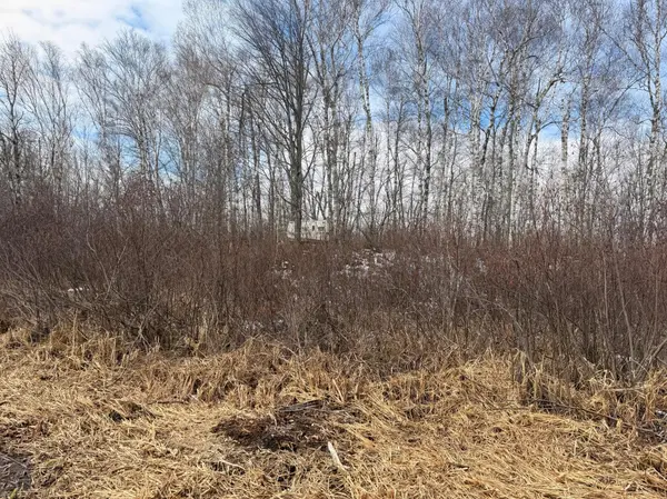 TBD Happy Tree Lane, Bruno, MN 55712