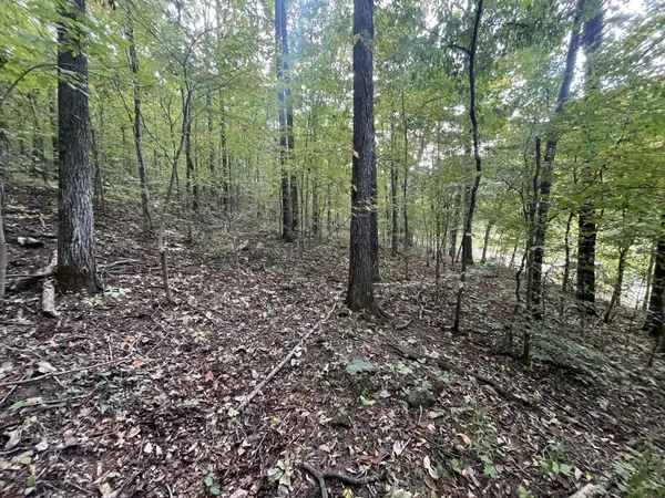 0 Rainbow Lake Rd, Waynesboro, TN 38485