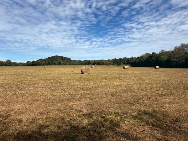 261 Bee Rd, Prospect, TN 38477