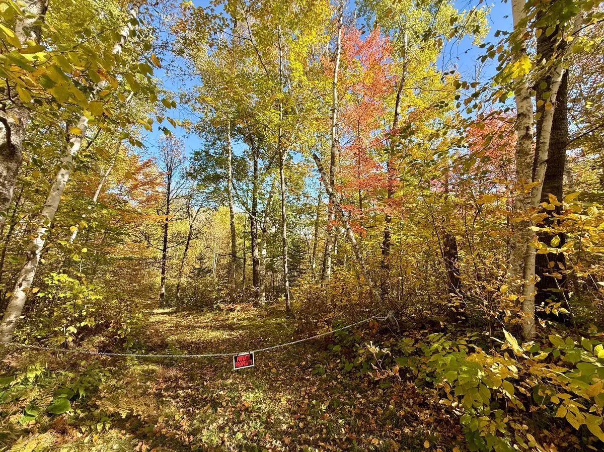 41174 Yellow Birch LN, Emily, MN 56447