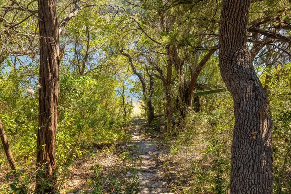 17123 E Darleen DR, Leander, TX 78641