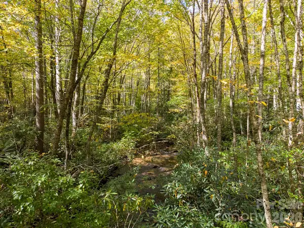 00 Little Snowbird RD #57, Robbinsville, NC 28771