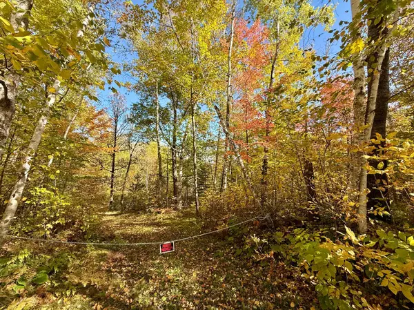 41174 Yellow Birch LN, Emily, MN 56447