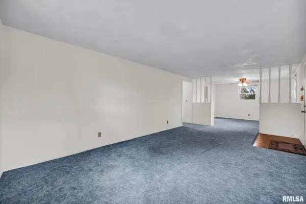 1007 SPRING BAY RD, East Peoria, IL 61611