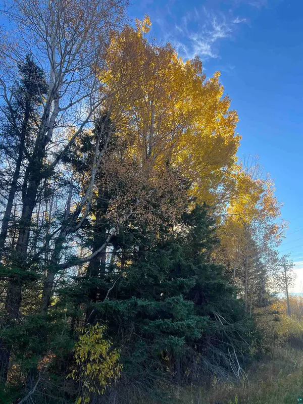 XXXX HWY 1, Finland, MN 55603