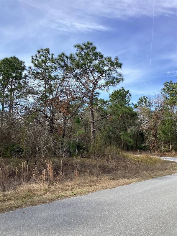 12449 INDIGO BUNTING RD, Weeki Wachee, FL 34614